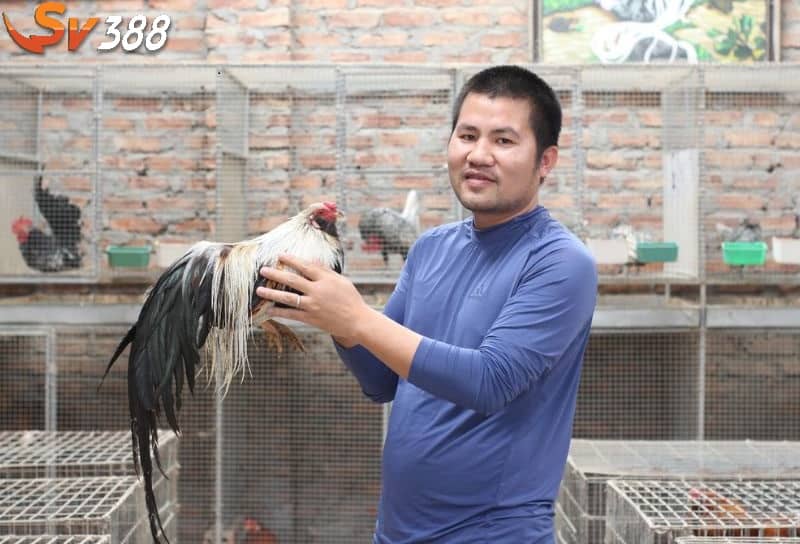 Bài tập hẫng chân rơi tự do giúp chân chiến kê khỏe hơn